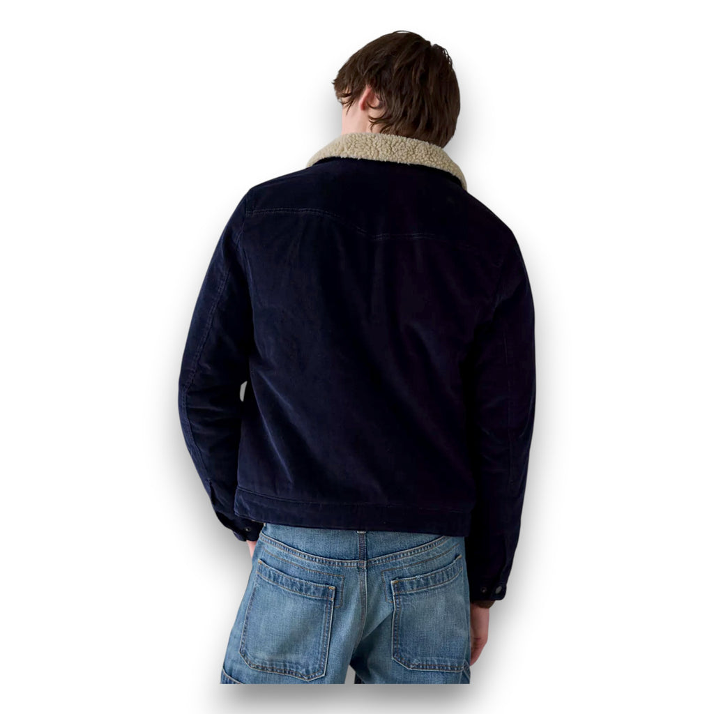 navy back