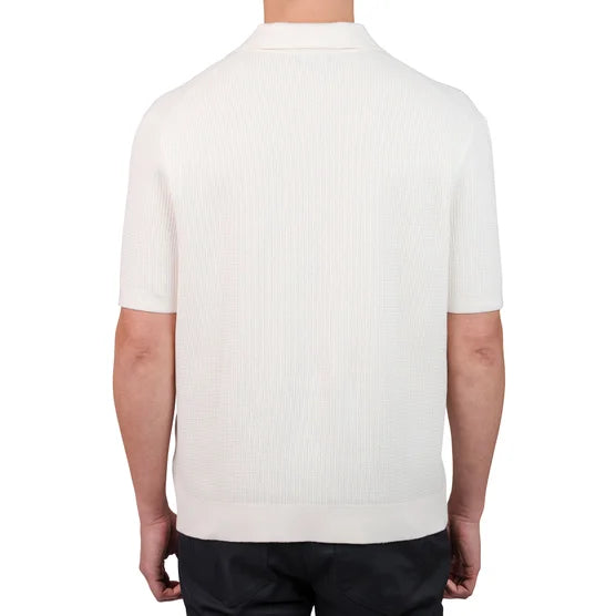 ivory back