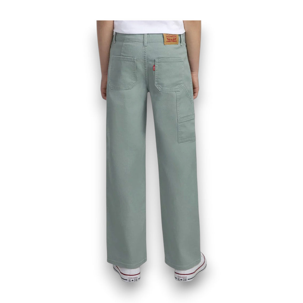 light green back