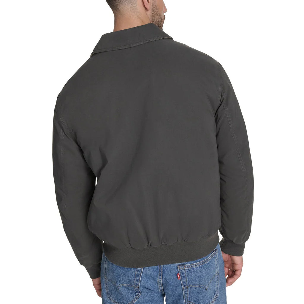 gray back