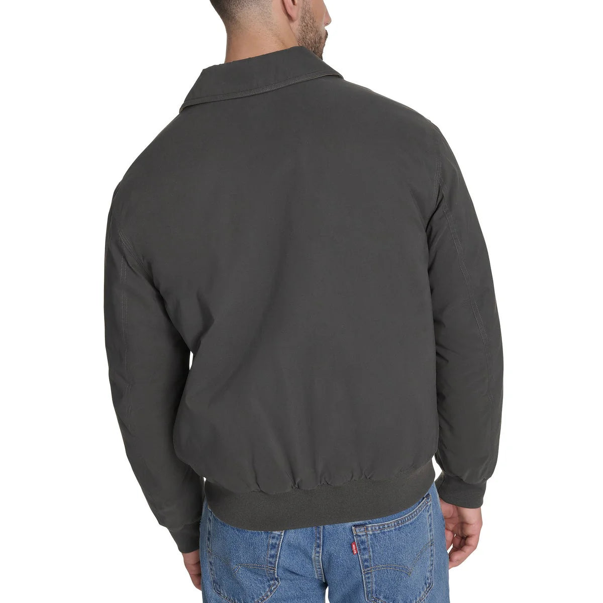gray back
