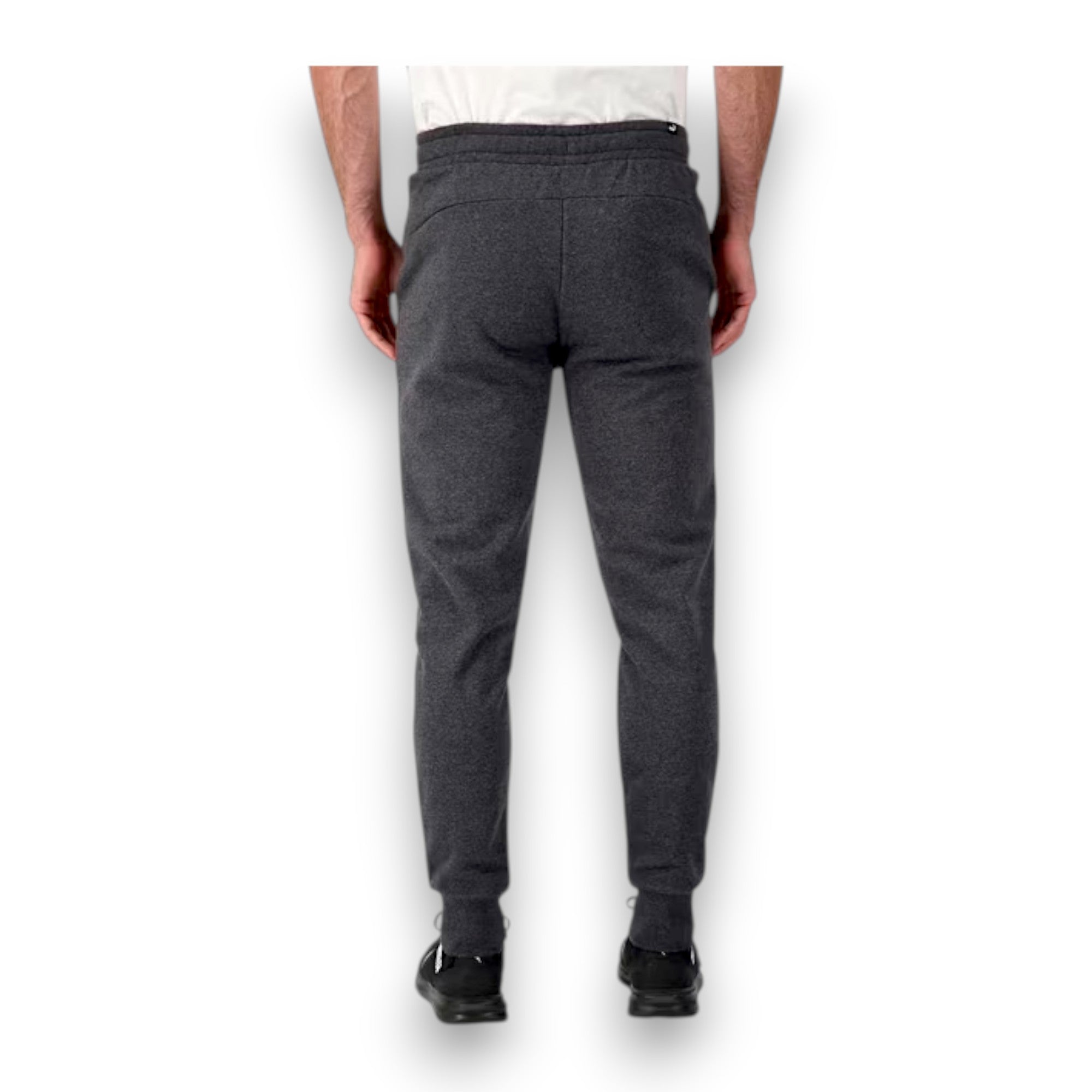 gray back