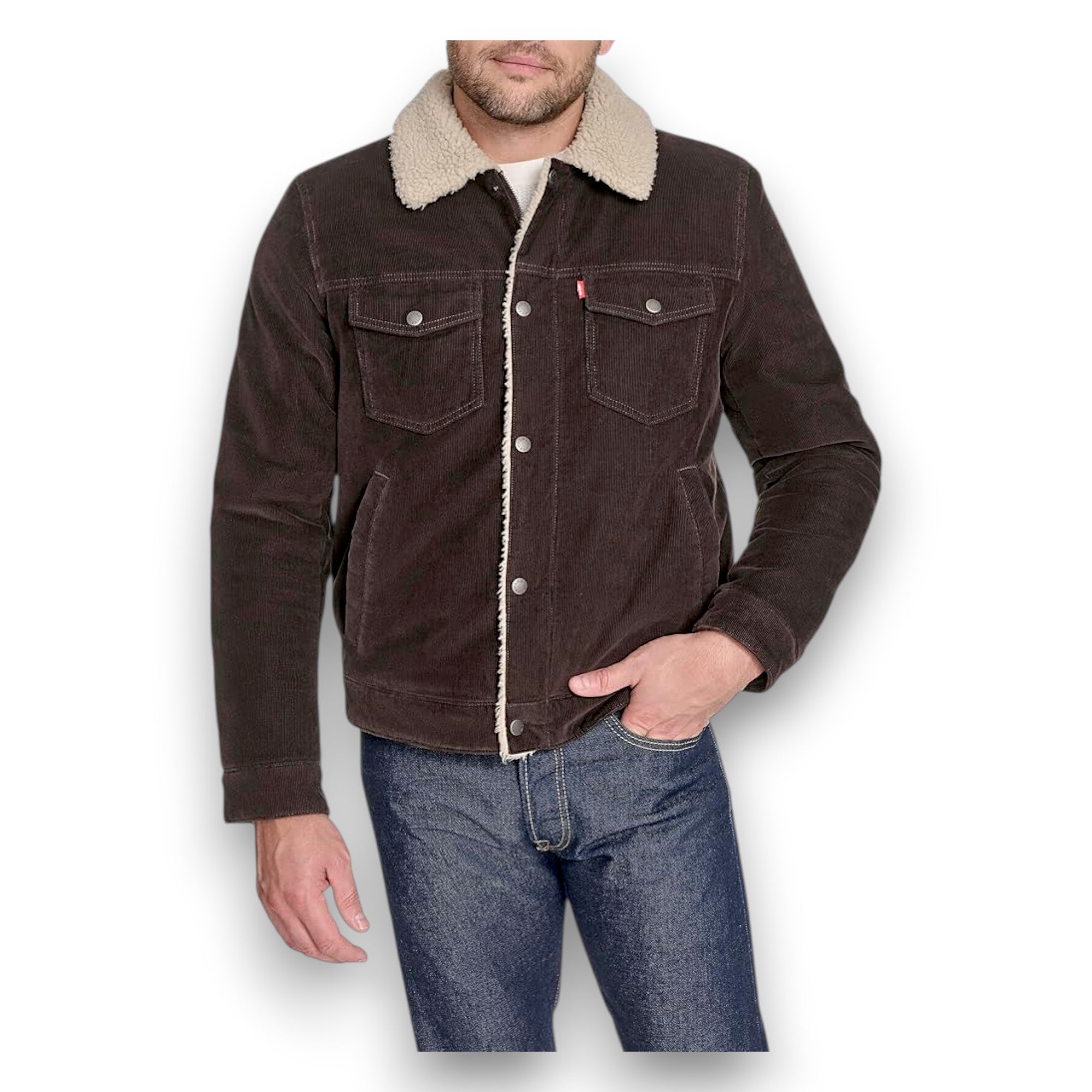 dark brown front