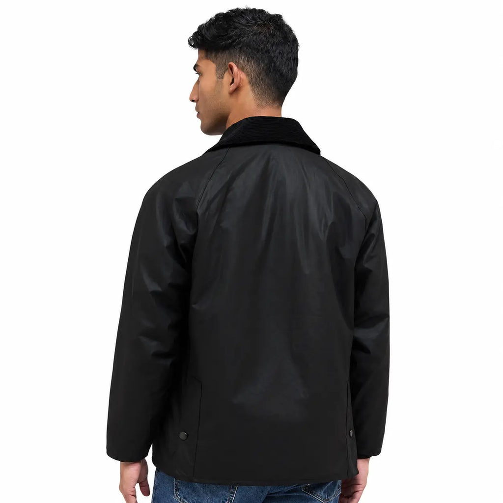black back