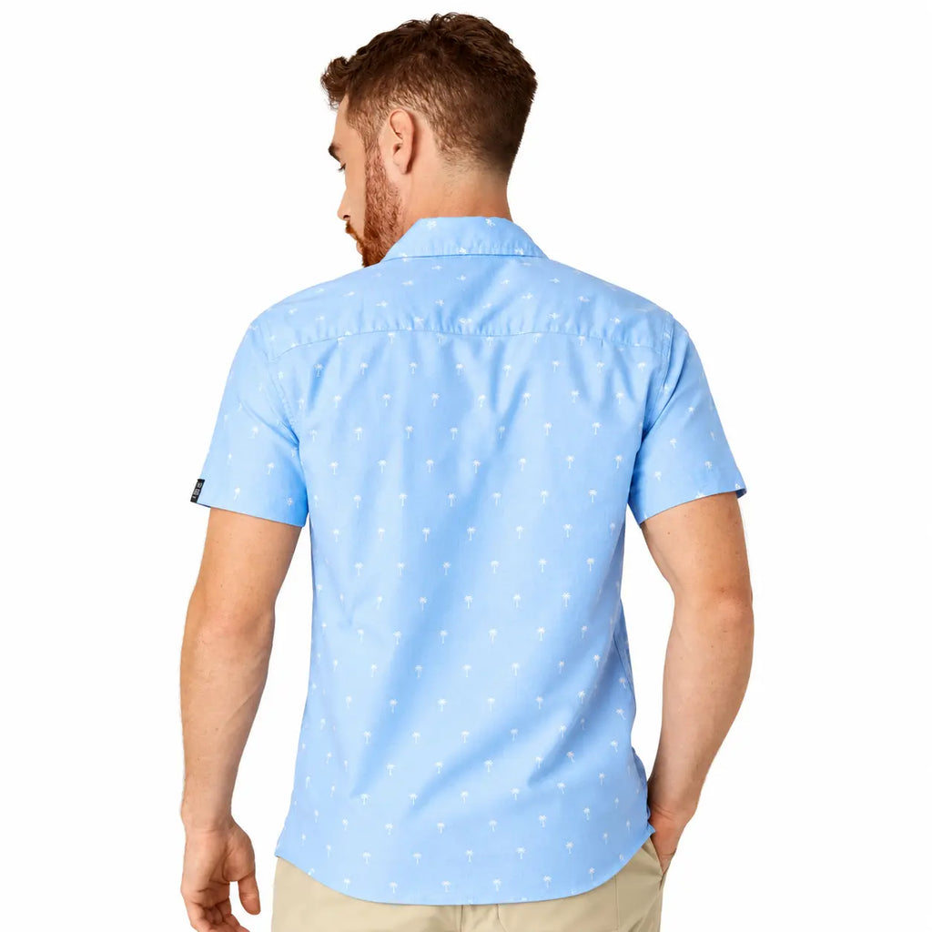 light blue back