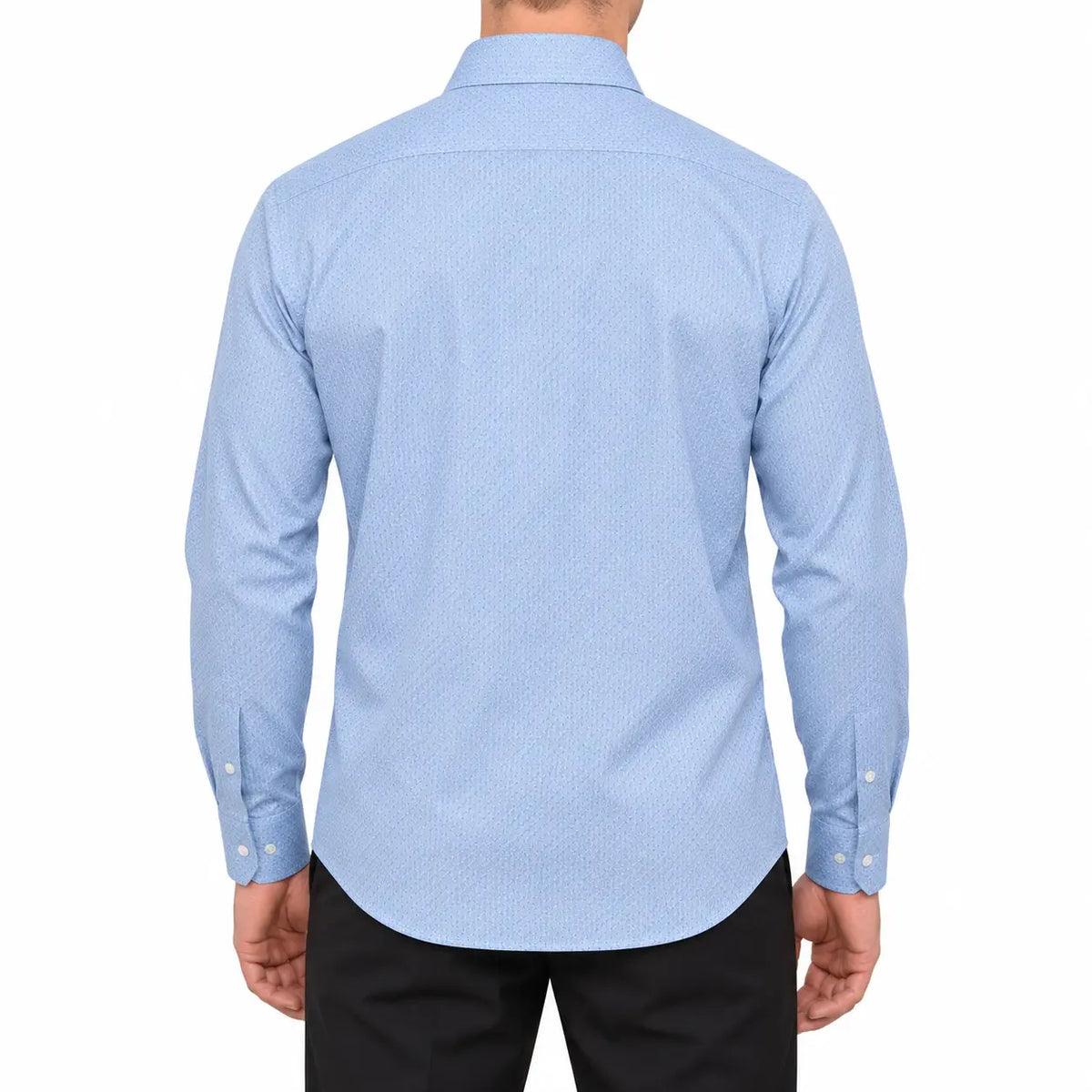 light blue back