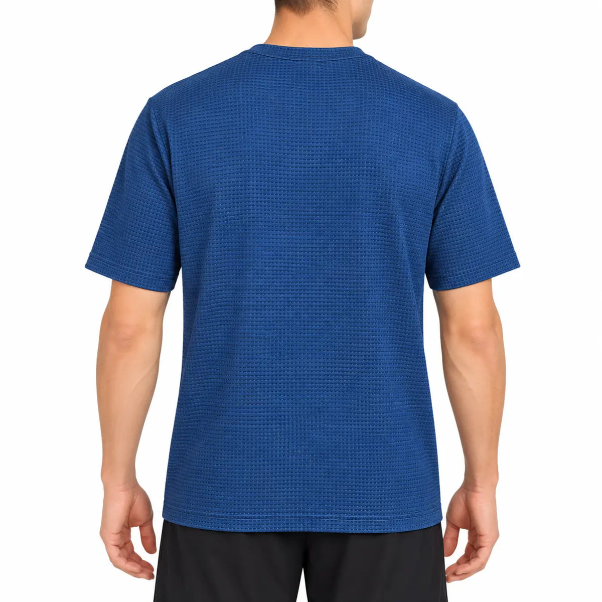 blue back