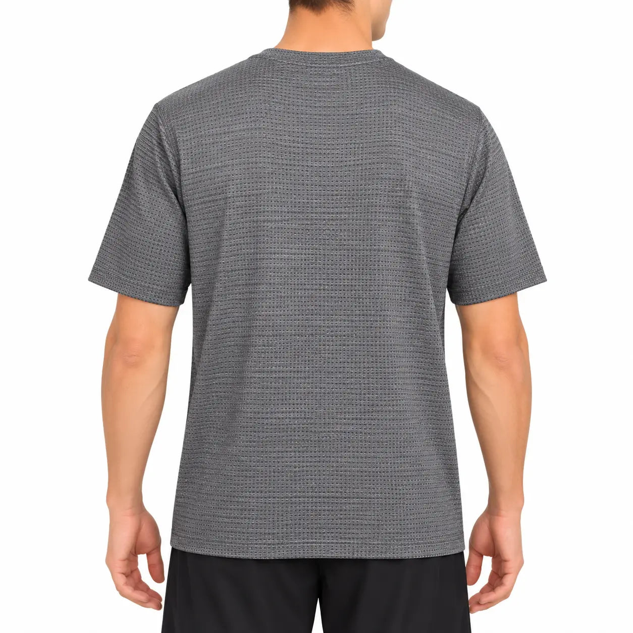 gray back