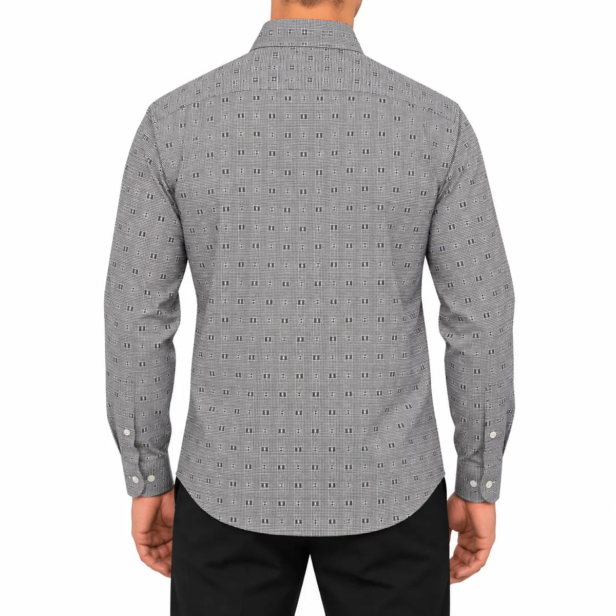 gray back