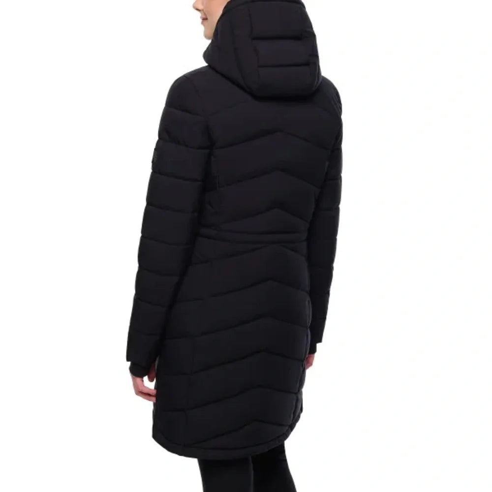 black back